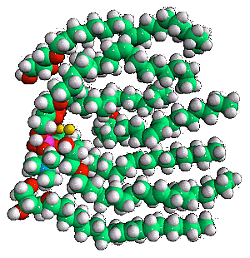Lym-X-Sorb molecular structure