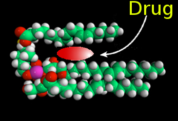 Lym-X-Sorb molecular structure with a drug